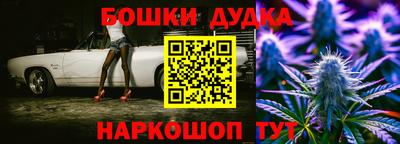 ешки Кингисепп