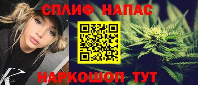 ешки Кингисепп
