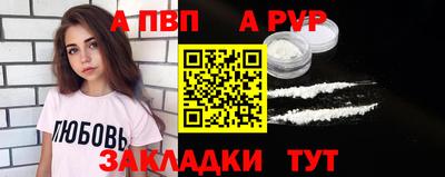 ешки Кингисепп