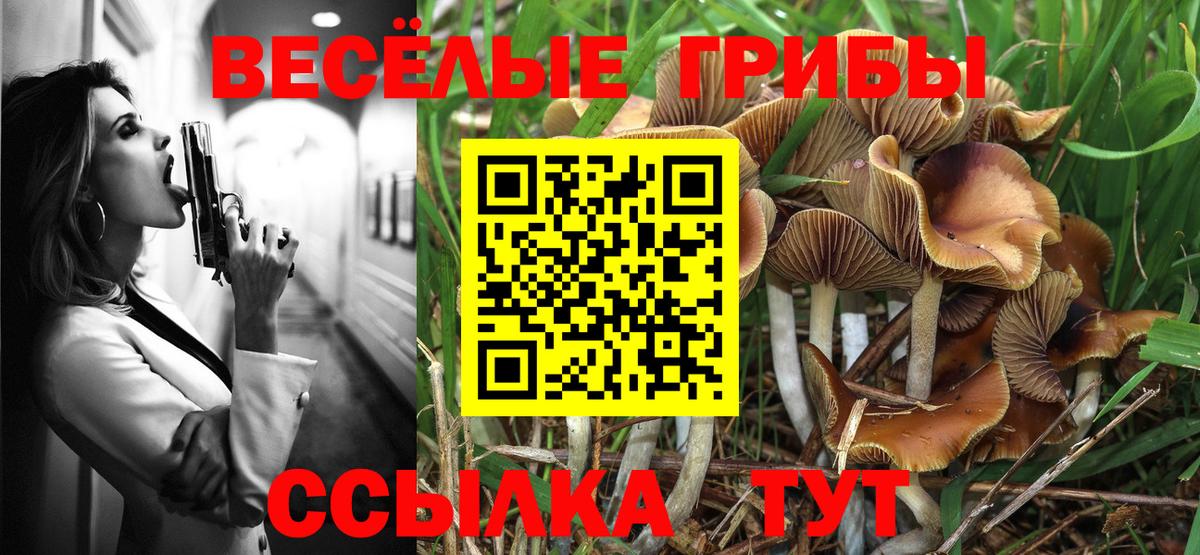 Галлюциногенные грибы мухоморы  Вход с VPN  Кольчугино 
