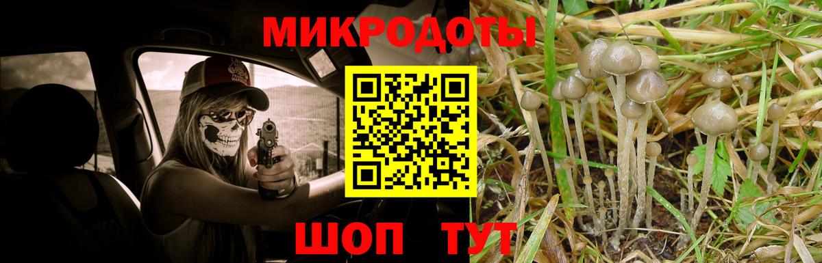 Галлюциногенные грибы Magic Shrooms Кольчугино