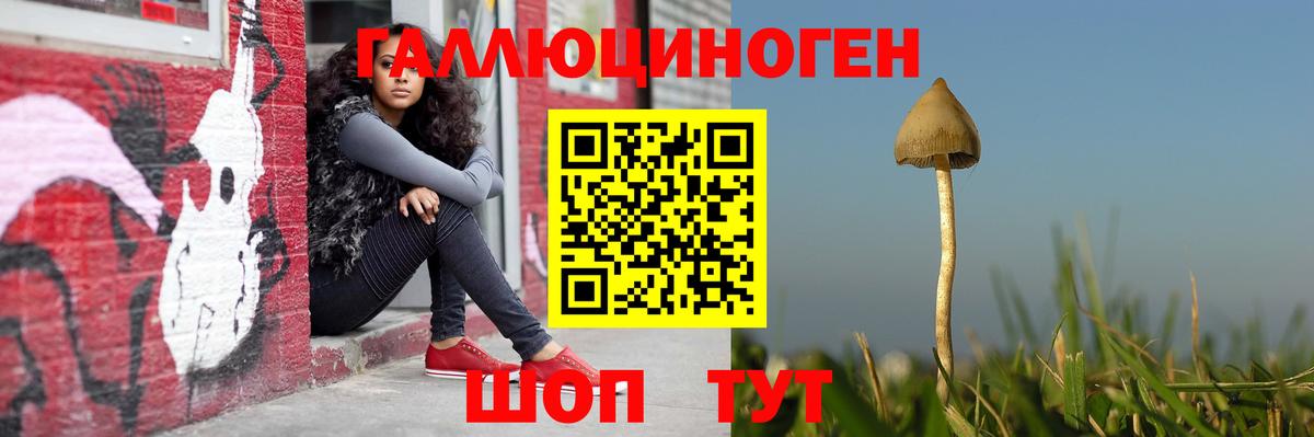 Конопля Кольчугино