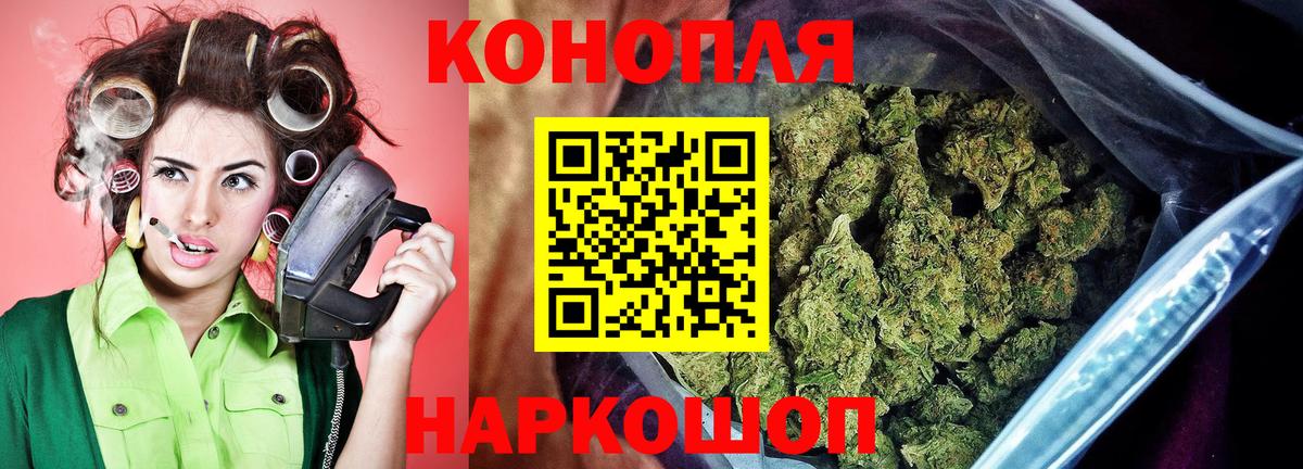 Бошки Шишки сатива Кольчугино